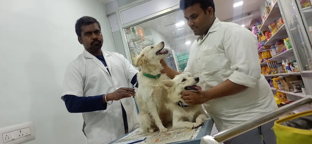 Vijay pet clinic & Pet shop cover photo