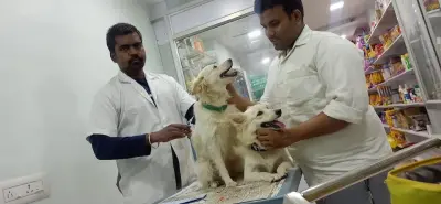 Vijay pet clinic & Pet shop